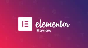 Home 2 Elementor Pro review